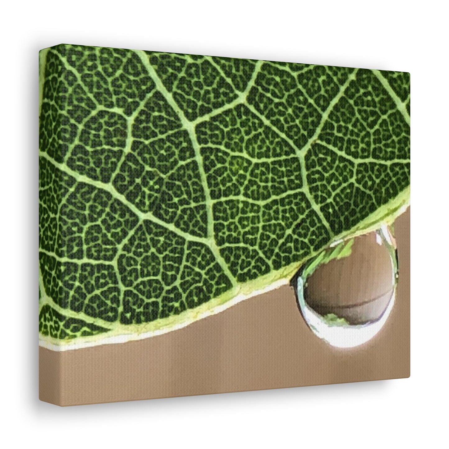 Farmer's Market Art: Rain Drop on Leaf