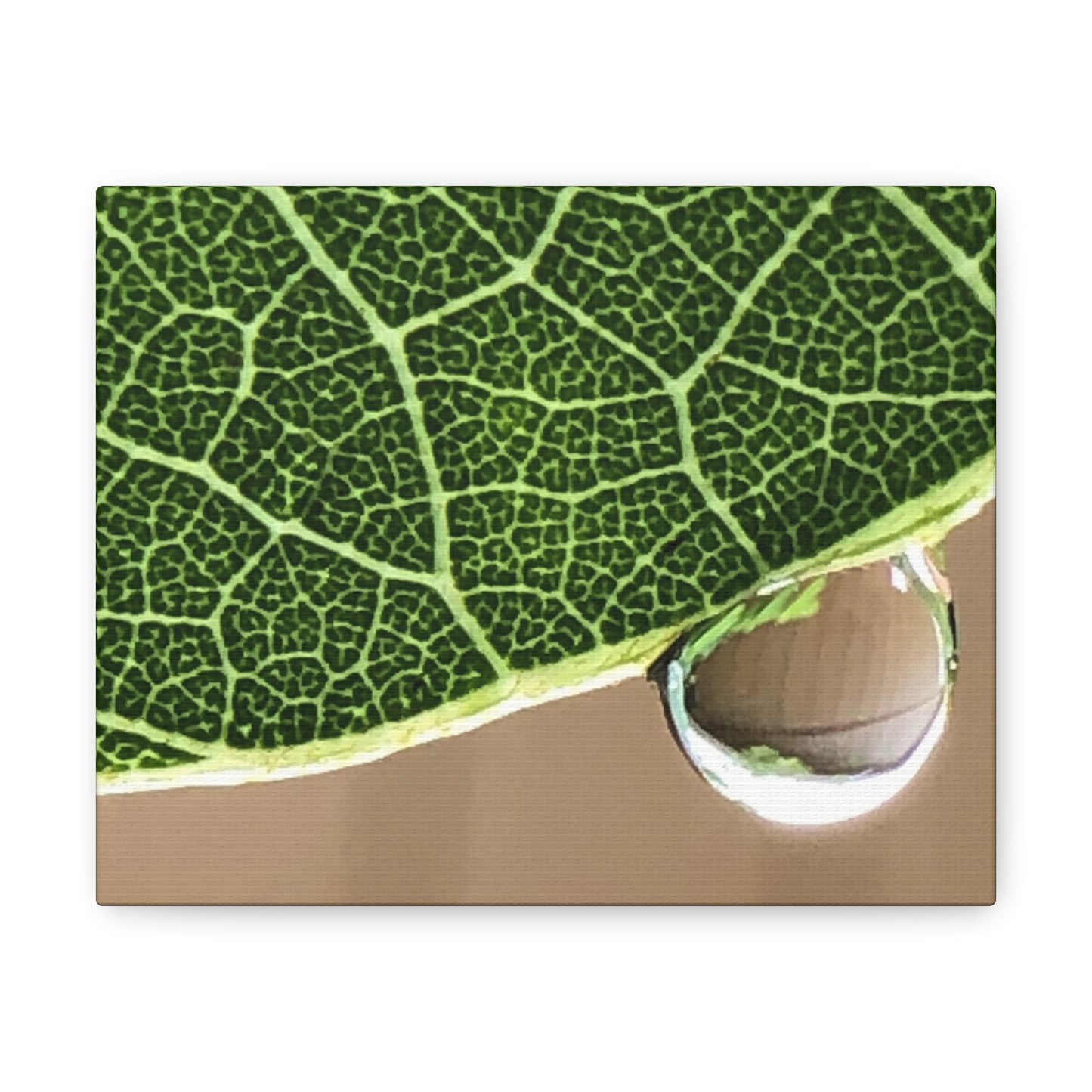 Farmer's Market Art: Rain Drop on Leaf