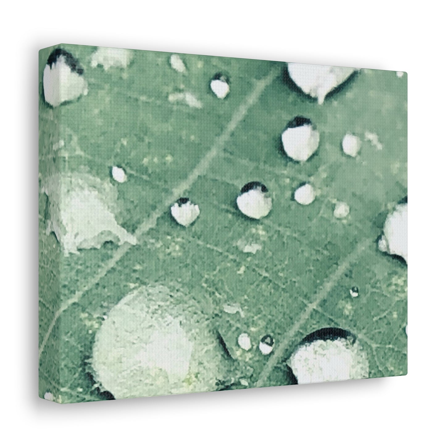 Farmer's Market Art: Rain Drops